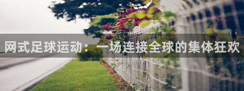  网式足球运动：一场连接全球的集体狂欢