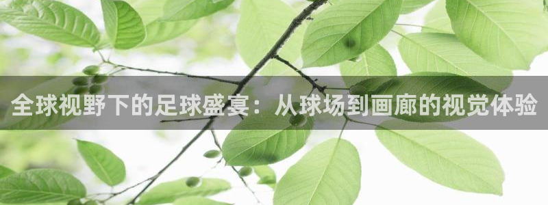全球视野下的足球盛宴：从球场到画廊的视觉体验