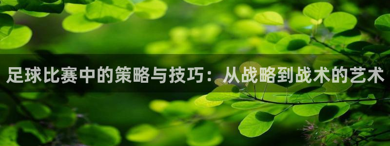 足球比赛中的策略与技巧：从战略到战术