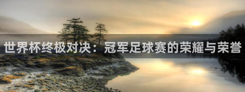 世界杯终极对决：冠军足球赛的荣耀与荣誉
