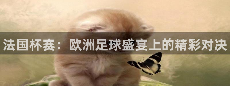 法国杯赛：欧洲足球盛宴上的精彩对决