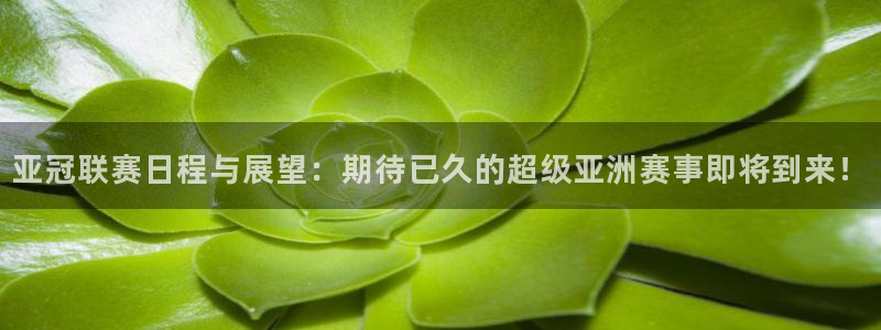  亚冠联赛日程与展望：期待已久的超级亚洲赛事即将到来！