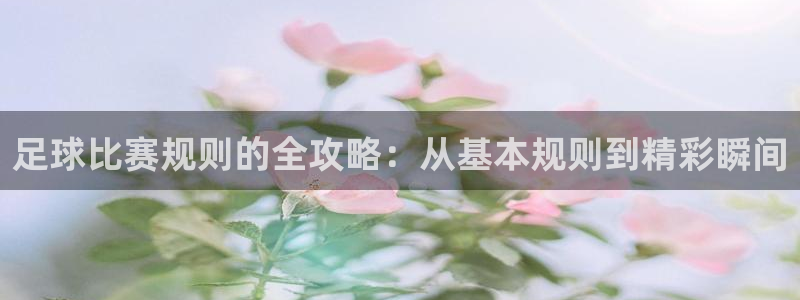  足球比赛规则的全攻略：从基本规则到精彩瞬间