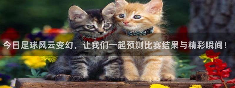 今日足球风云变幻，让我们一起预测比赛结果与精彩瞬间！