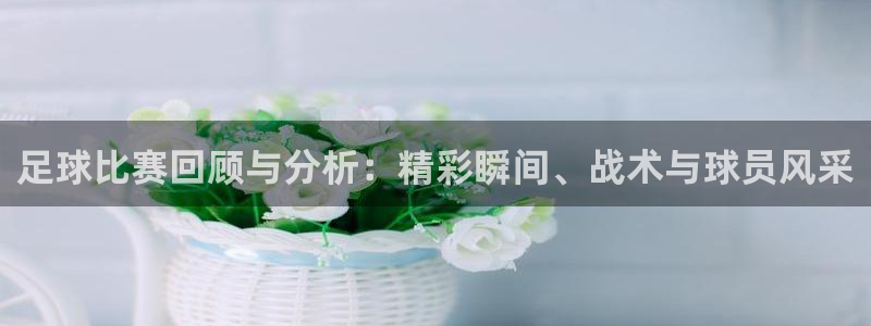  足球比赛回顾与分析：精彩瞬间、战术与球员风采