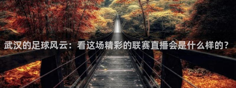 武汉的足球风云：看这场精彩的联赛直播会是什么样的？