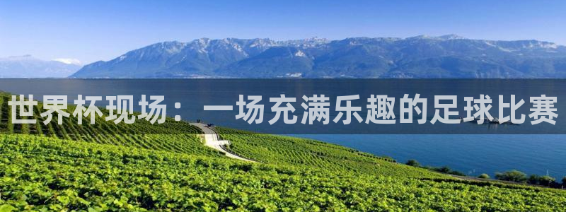 世界杯现场：一场充满乐趣的足球比赛