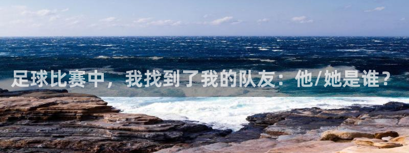 足球比赛中，我找到了我的队友：他/她是谁？