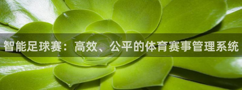  智能足球赛：高效、公平的体育赛事管理系统