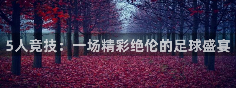 5人竞技：一场精彩绝伦的足球盛宴