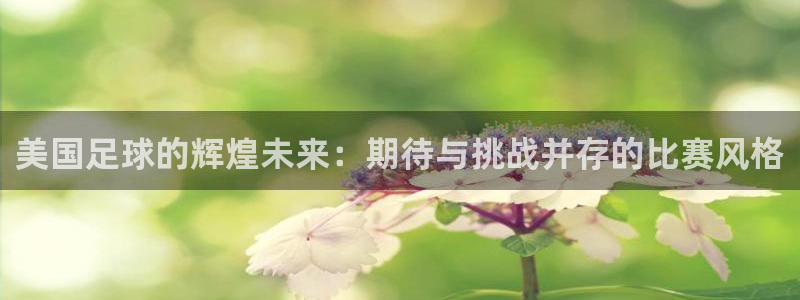 美国足球的辉煌未来：期待与挑战并存的比赛风格