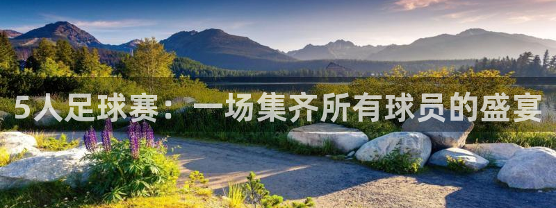  5人足球赛：一场集齐所有球员的盛宴