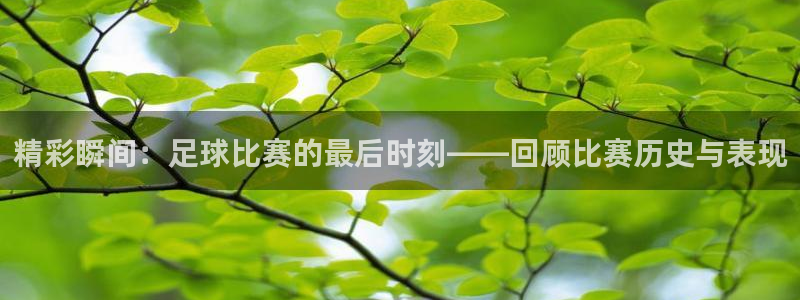  精彩瞬间：足球比赛的最后时刻——回顾比赛历史与表现