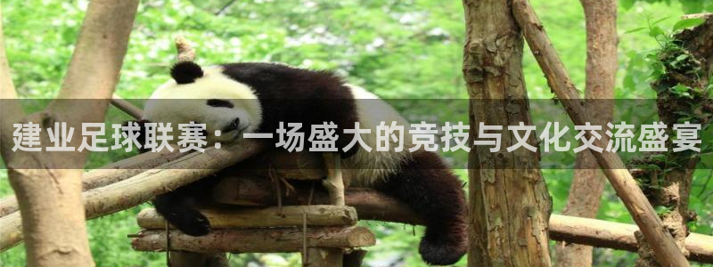 建业足球联赛：一场盛大的竞技与文化交流盛宴