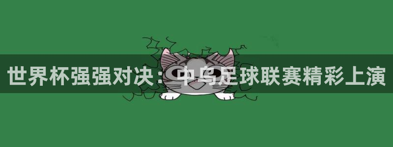  世界杯强强对决：中乌足球联赛精彩上演