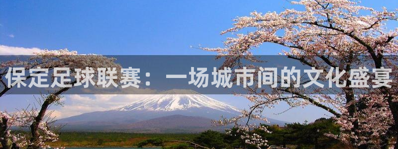  保定足球联赛：一场城市间的文化盛宴