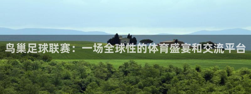  鸟巢足球联赛：一场全球性的体育盛宴和交流平台