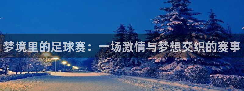  梦境里的足球赛：一场激情与梦想交织的赛事