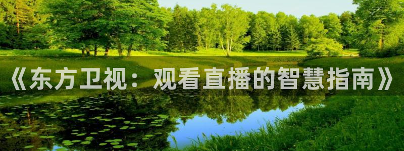 新球体育即时分