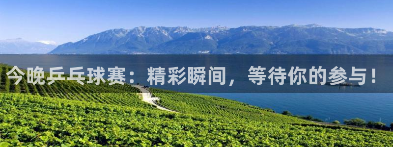 新球体育即时分