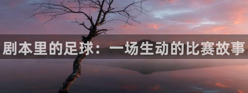剧本里的足球：一场生动的比赛故事
