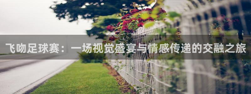 飞吻足球赛：一场视觉盛宴与情感传递的