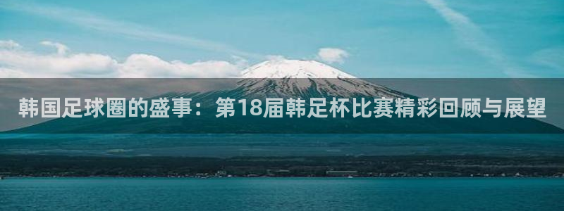 韩国足球圈的盛事：第18届韩足杯比赛