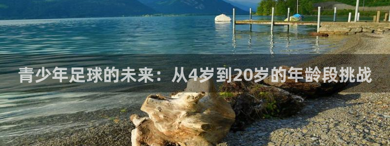 青少年足球的未来：从4岁到20岁的年