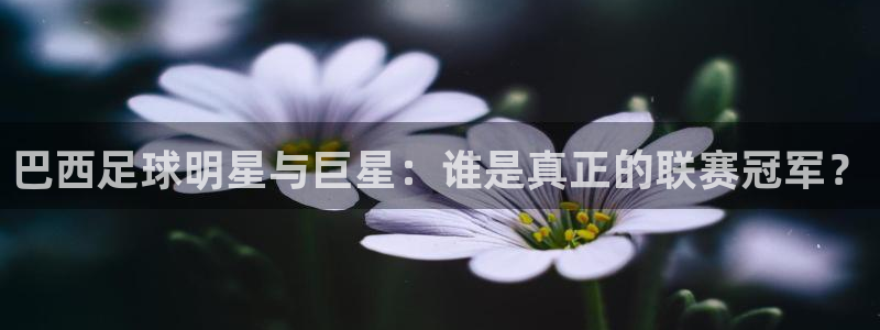 巴西足球明星与巨星：谁是真正的联赛冠