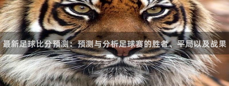 最新足球比分预测：预测与分析足球赛的