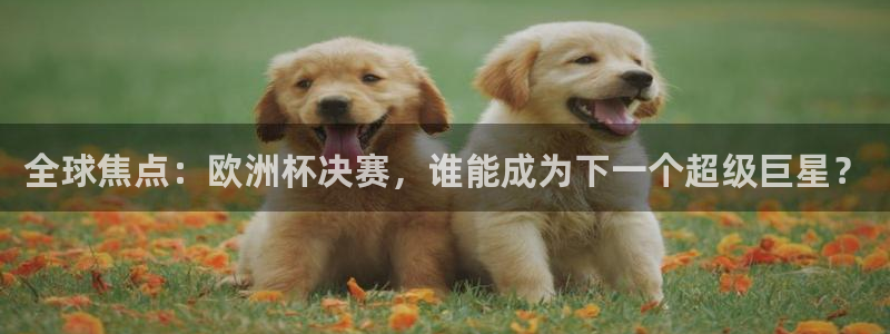全球焦点：欧洲杯决赛，谁能成为下一个