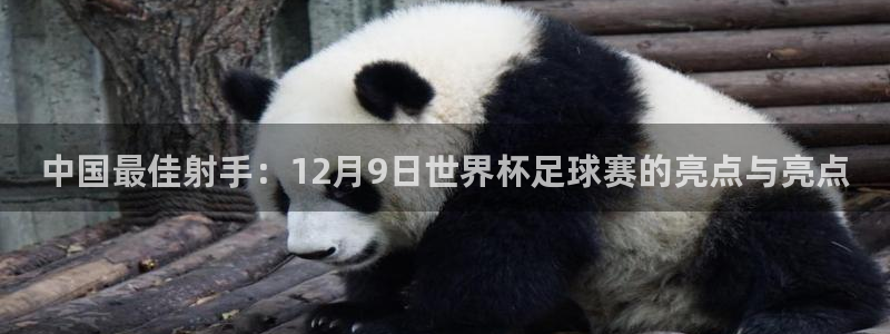 中国最佳射手：12月9日世界杯足球赛