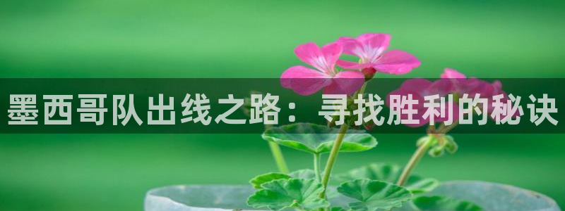 墨西哥队出线之路：寻找胜利的秘诀