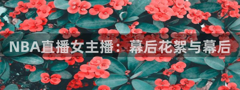 新球体育足球即时比分：NBA直播女主播：幕后花絮与幕后