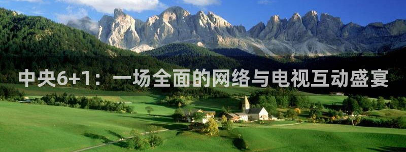新球：中央6+1：一场全面的网络与电视互动盛宴